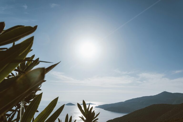 Tranquil ocean scene with bright sun and distant islands framed by lush greenery.