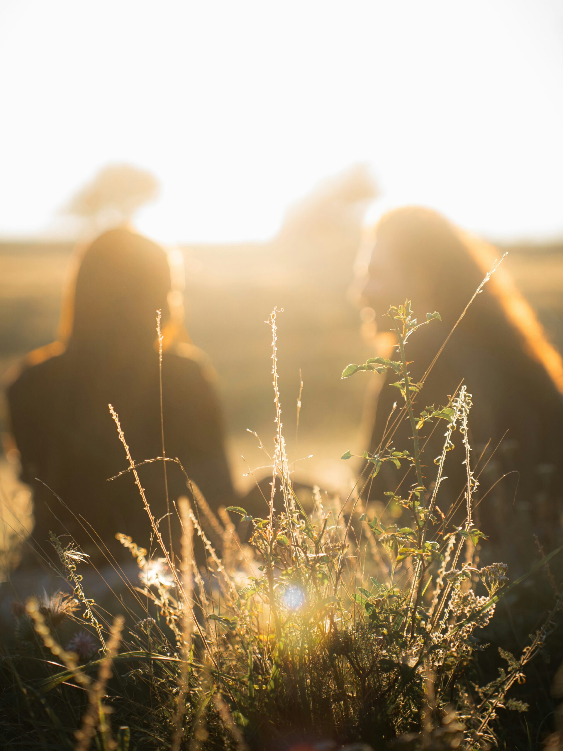 Two silhouettes in golden field at sunset